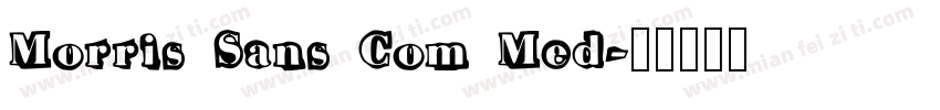 Morris Sans Com Med字体转换